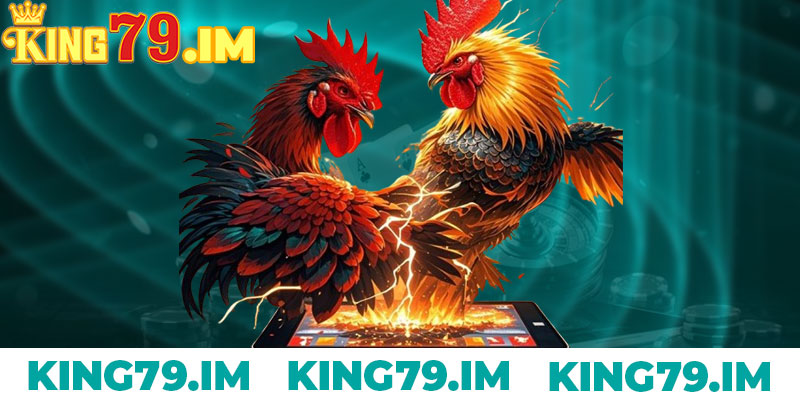 Đá Gà King79: Trải Nghiệm Cược Kịch Tính Và Hấp Dẫn 6 Cách Tham Gia Cá Cược Đá Gà Tại King79