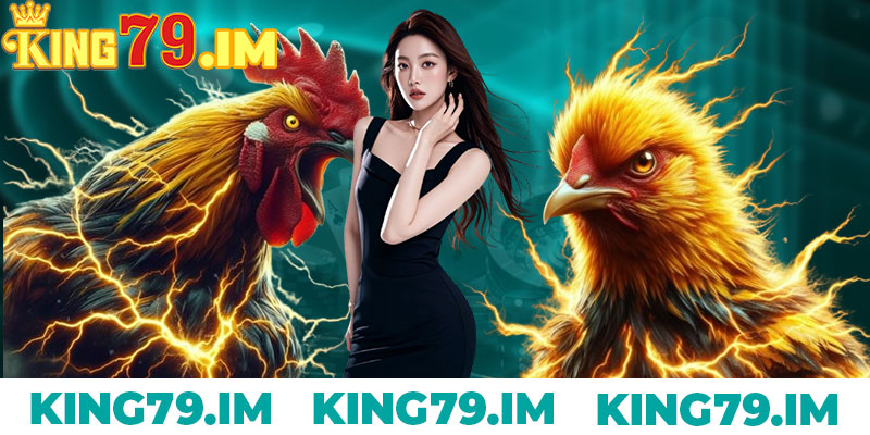 Đá Gà King79: Trải Nghiệm Cược Kịch Tính Và Hấp Dẫn 5 Đá Gà King79 Là Gì?