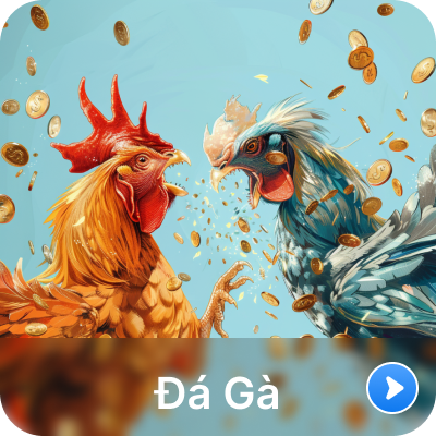 dr88 da ga 2