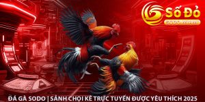 Đá Gà Sodo | Sảnh Chọi Kê Trực Tuyến Được Yêu Thích 2025