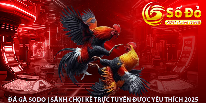 Đá Gà Sodo | Sảnh Chọi Kê Trực Tuyến Được Yêu Thích 2025